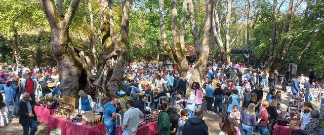 Πλήθος κόσμου κάτω από τα αιωνόβια πλατάνια στο Τρανό Πηγάδι της Φυτειάς, την ημέρα της γιορτής